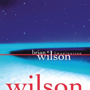 Brian Wilson – Imagination LP