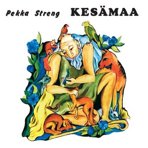 Pekka Streng ‎– Kesämaa LP (Black Vinyl)
